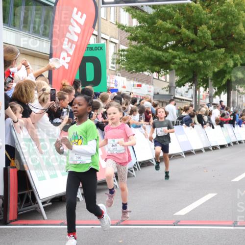 21.09.2025 - PSD Bank Halbmarathon Strokosch-Dieckow http://msf.ph/oto/8939138 21.09.2025 10:29:53 Ziel 103, 201, 235, 271, 296, 300, 319, 393 meine-sportfotos.de
