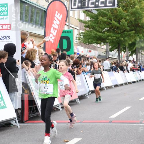 21.09.2025 - PSD Bank Halbmarathon Strokosch-Dieckow http://msf.ph/oto/8939139 21.09.2025 10:29:53 Ziel 103, 201, 235, 271, 296, 300, 319, 393 meine-sportfotos.de