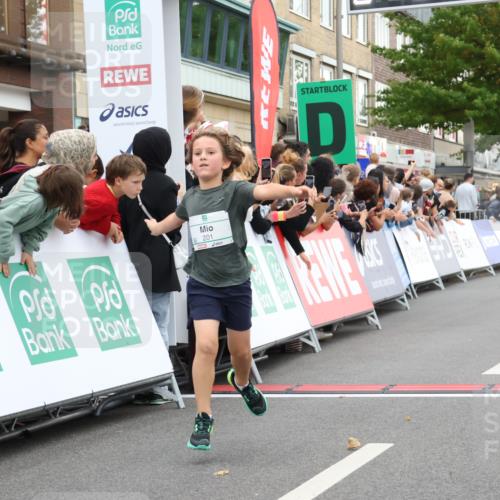 21.09.2025 - PSD Bank Halbmarathon Strokosch-Dieckow http://msf.ph/oto/8939143 21.09.2025 10:29:56 Ziel 103, 131, 201, 271, 296, 300, 319 meine-sportfotos.de