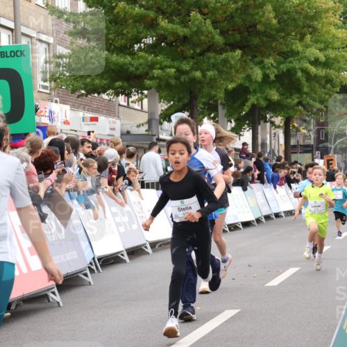 21.09.2025 - PSD Bank Halbmarathon Strokosch-Dieckow http://msf.ph/oto/8939151 21.09.2025 10:30:05 Ziel 131, 195, 234, 272, 276, 430, 438 meine-sportfotos.de