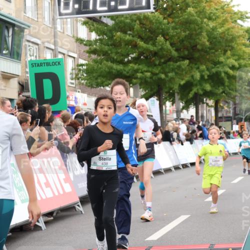 21.09.2025 - PSD Bank Halbmarathon Strokosch-Dieckow http://msf.ph/oto/8939153 21.09.2025 10:30:06 Ziel 131, 140, 195, 234, 272, 276, 430, 438 meine-sportfotos.de