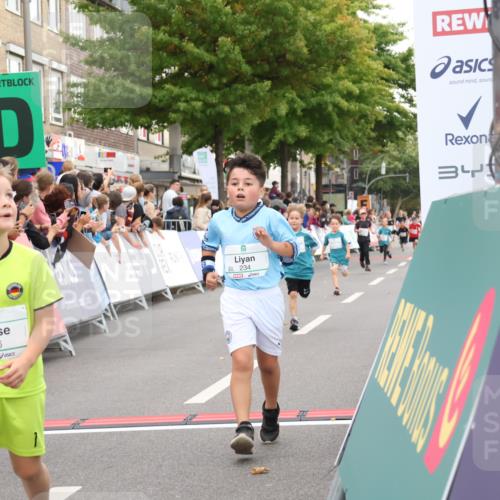 21.09.2025 - PSD Bank Halbmarathon Strokosch-Dieckow http://msf.ph/oto/8939158 21.09.2025 10:30:09 Ziel 140, 141, 195, 234, 272, 276, 430, 438 meine-sportfotos.de