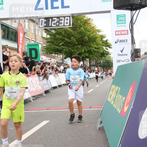 21.09.2025 - PSD Bank Halbmarathon Strokosch-Dieckow http://msf.ph/oto/8939159 21.09.2025 10:30:09 Ziel 140, 141, 195, 234, 272, 276, 430, 438 meine-sportfotos.de