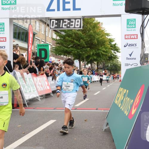 21.09.2025 - PSD Bank Halbmarathon Strokosch-Dieckow http://msf.ph/oto/8939160 21.09.2025 10:30:10 Ziel 140, 141, 195, 234, 272, 276, 430, 438 meine-sportfotos.de