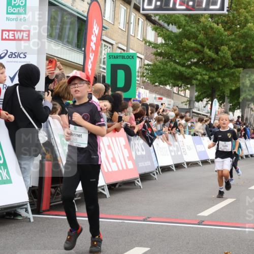 21.09.2025 - PSD Bank Halbmarathon Strokosch-Dieckow http://msf.ph/oto/8939170 21.09.2025 10:30:17 Ziel 140, 141, 145, 231, 245, 448 meine-sportfotos.de