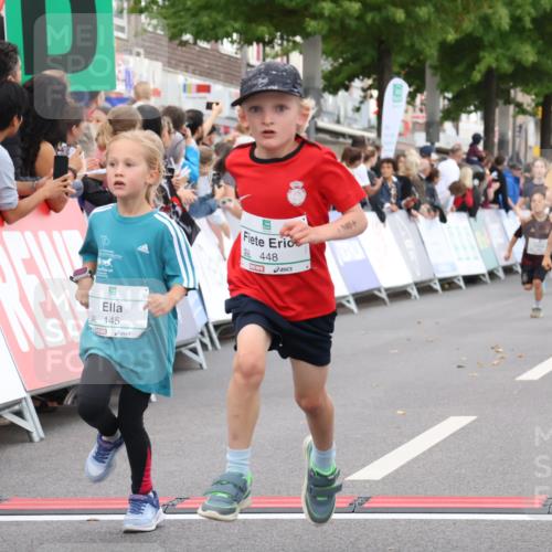 21.09.2025 - PSD Bank Halbmarathon Strokosch-Dieckow http://msf.ph/oto/8939175 21.09.2025 10:30:20 Ziel 141, 145, 231, 243, 245, 448, 458, 459 meine-sportfotos.de