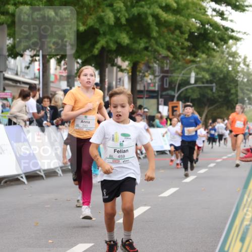 21.09.2025 - PSD Bank Halbmarathon Strokosch-Dieckow http://msf.ph/oto/8939178 21.09.2025 10:30:22 Ziel 145, 227, 231, 243, 245, 448, 458, 459 meine-sportfotos.de