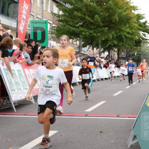 21.09.2025 - PSD Bank Halbmarathon Strokosch-Dieckow http://msf.ph/oto/8939182 21.09.2025 10:30:23 Ziel 145, 227, 231, 243, 245, 343, 377, 407, 448, 458, 459 meine-sportfotos.de