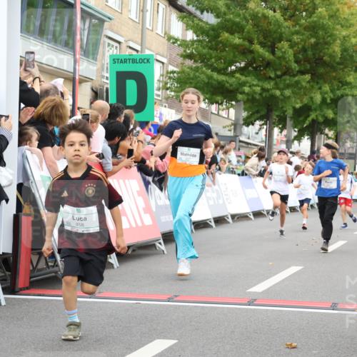 21.09.2025 - PSD Bank Halbmarathon Strokosch-Dieckow http://msf.ph/oto/8939186 21.09.2025 10:30:25 Ziel 102, 104, 145, 227, 231, 243, 343, 377, 382, 407, 448, 458, 459 meine-sportfotos.de