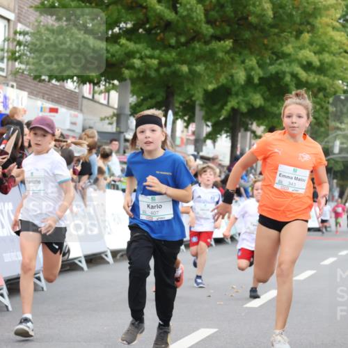 21.09.2025 - PSD Bank Halbmarathon Strokosch-Dieckow http://msf.ph/oto/8939188 21.09.2025 10:30:27 Ziel 102, 104, 145, 227, 243, 343, 377, 382, 407, 448, 458, 459 meine-sportfotos.de