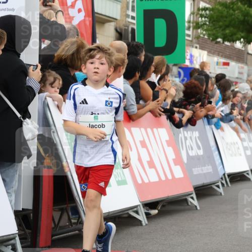 21.09.2025 - PSD Bank Halbmarathon Strokosch-Dieckow http://msf.ph/oto/8939193 21.09.2025 10:30:30 Ziel 102, 104, 227, 243, 343, 377, 382, 407, 458, 459 meine-sportfotos.de