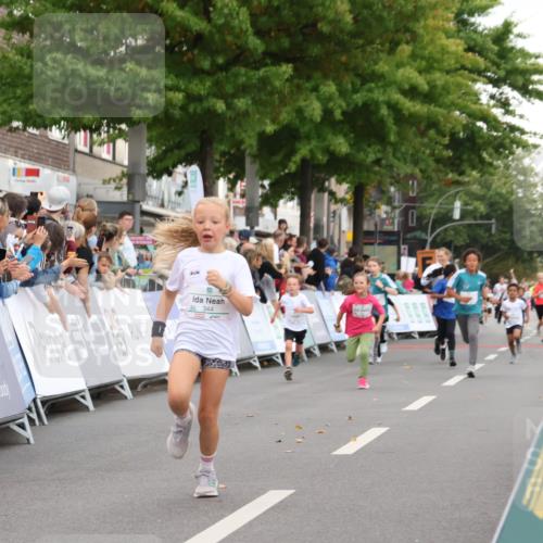 21.09.2025 - PSD Bank Halbmarathon Strokosch-Dieckow http://msf.ph/oto/8939196 21.09.2025 10:30:35 Ziel 102, 104, 151, 343, 344, 351, 370, 377, 382, 407 meine-sportfotos.de