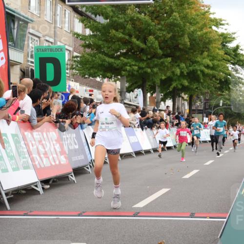 21.09.2025 - PSD Bank Halbmarathon Strokosch-Dieckow http://msf.ph/oto/8939197 21.09.2025 10:30:35 Ziel 102, 104, 151, 343, 344, 351, 370, 377, 382, 407 meine-sportfotos.de