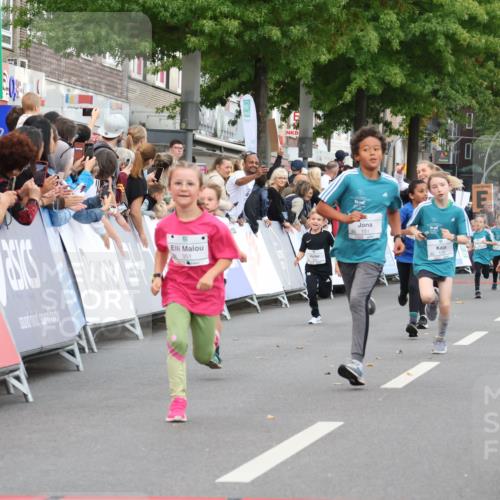 21.09.2025 - PSD Bank Halbmarathon Strokosch-Dieckow http://msf.ph/oto/8939201 21.09.2025 10:30:38 Ziel 129, 151, 263, 344, 351, 370, 375, 431 meine-sportfotos.de