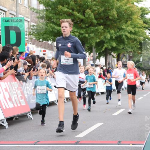 21.09.2025 - PSD Bank Halbmarathon Strokosch-Dieckow http://msf.ph/oto/8939212 21.09.2025 10:30:45 Ziel 116, 129, 151, 246, 263, 320, 351, 370, 375, 402, 405, 431, 456, 457 meine-sportfotos.de