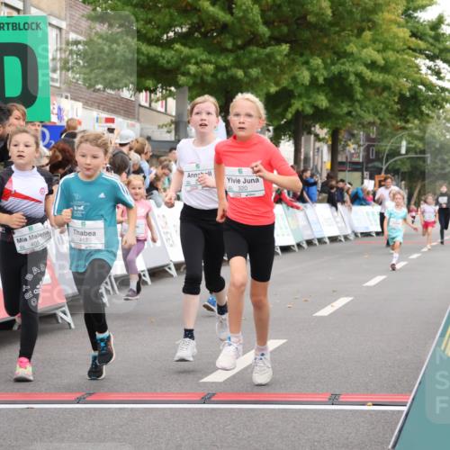 21.09.2025 - PSD Bank Halbmarathon Strokosch-Dieckow http://msf.ph/oto/8939216 21.09.2025 10:30:48 Ziel 116, 129, 246, 263, 320, 324, 375, 402, 405, 431, 456, 457 meine-sportfotos.de