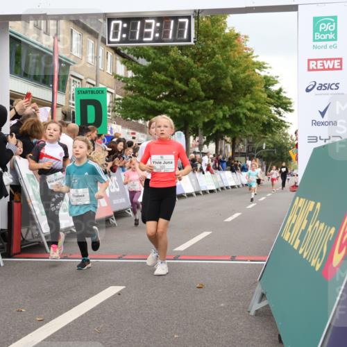 21.09.2025 - PSD Bank Halbmarathon Strokosch-Dieckow http://msf.ph/oto/8939217 21.09.2025 10:30:48 Ziel 116, 129, 246, 263, 320, 324, 375, 402, 405, 431, 456, 457 meine-sportfotos.de