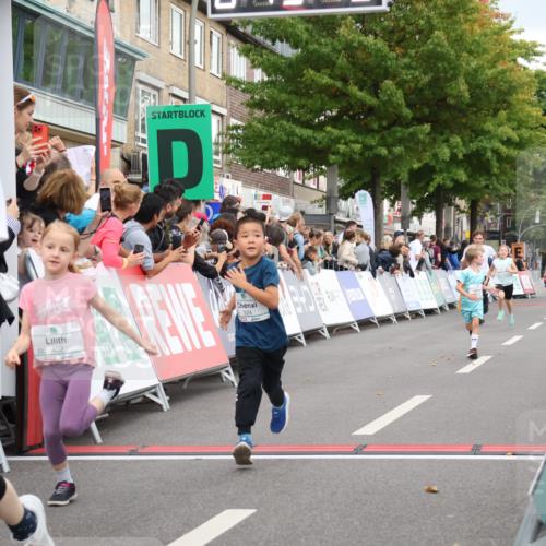 21.09.2025 - PSD Bank Halbmarathon Strokosch-Dieckow http://msf.ph/oto/8939219 21.09.2025 10:30:50 Ziel 108, 116, 117, 246, 320, 324, 375, 402, 405, 431, 456, 457 meine-sportfotos.de
