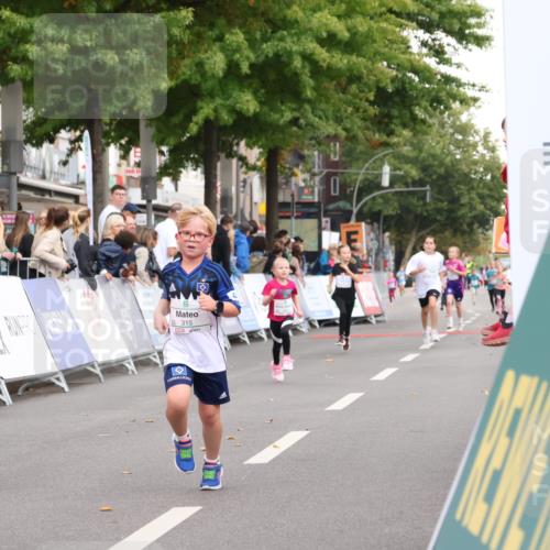 21.09.2025 - PSD Bank Halbmarathon Strokosch-Dieckow http://msf.ph/oto/8939237 21.09.2025 10:31:08 Ziel 315 meine-sportfotos.de