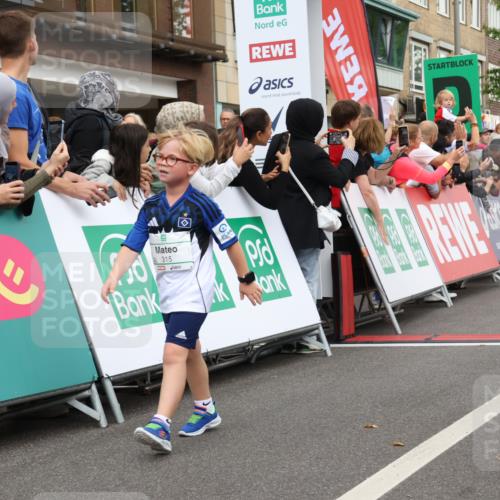 21.09.2025 - PSD Bank Halbmarathon Strokosch-Dieckow http://msf.ph/oto/8939240 21.09.2025 10:31:12 Ziel 315, 323, 340, 413 meine-sportfotos.de