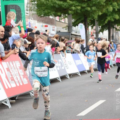 21.09.2025 - PSD Bank Halbmarathon Strokosch-Dieckow http://msf.ph/oto/8939268 21.09.2025 10:31:33 Ziel 139, 147, 148, 287, 311, 326, 352, 376, 387, 439 meine-sportfotos.de