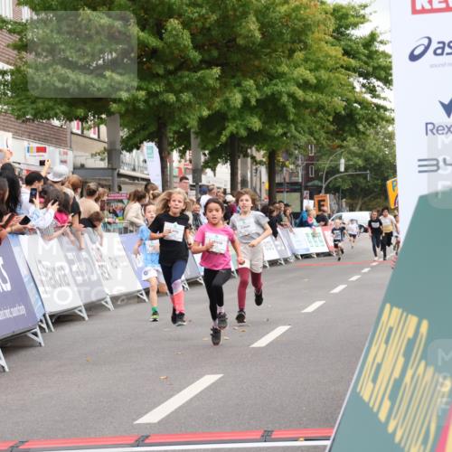 21.09.2025 - PSD Bank Halbmarathon Strokosch-Dieckow http://msf.ph/oto/8939269 21.09.2025 10:31:34 Ziel 147, 148, 287, 311, 326, 352, 376, 387, 439 meine-sportfotos.de