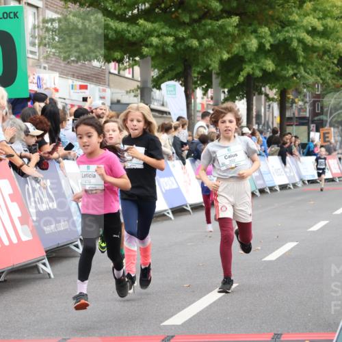 21.09.2025 - PSD Bank Halbmarathon Strokosch-Dieckow http://msf.ph/oto/8939271 21.09.2025 10:31:36 Ziel 147, 148, 287, 311, 326, 352, 376, 414, 439 meine-sportfotos.de