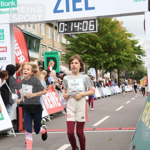 21.09.2025 - PSD Bank Halbmarathon Strokosch-Dieckow http://msf.ph/oto/8939274 21.09.2025 10:31:38 Ziel 147, 148, 287, 326, 352, 414, 439 meine-sportfotos.de