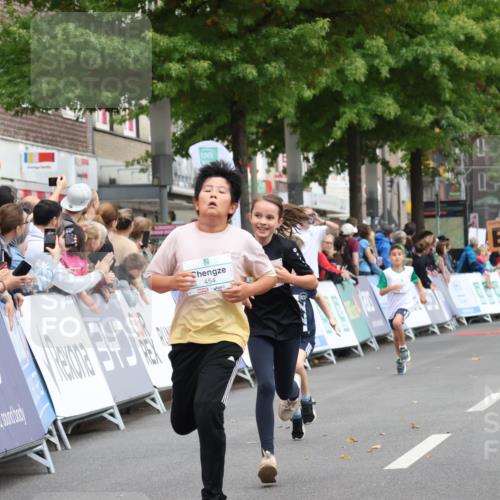 21.09.2025 - PSD Bank Halbmarathon Strokosch-Dieckow http://msf.ph/oto/8939278 21.09.2025 10:31:42 Ziel 122, 224, 287, 326, 352, 414, 439, 454 meine-sportfotos.de