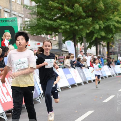 21.09.2025 - PSD Bank Halbmarathon Strokosch-Dieckow http://msf.ph/oto/8939280 21.09.2025 10:31:44 Ziel 122, 224, 287, 326, 352, 414, 439, 454, 463 meine-sportfotos.de