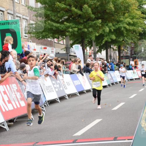 21.09.2025 - PSD Bank Halbmarathon Strokosch-Dieckow http://msf.ph/oto/8939284 21.09.2025 10:31:48 Ziel 122, 224, 404, 414, 454, 463 meine-sportfotos.de