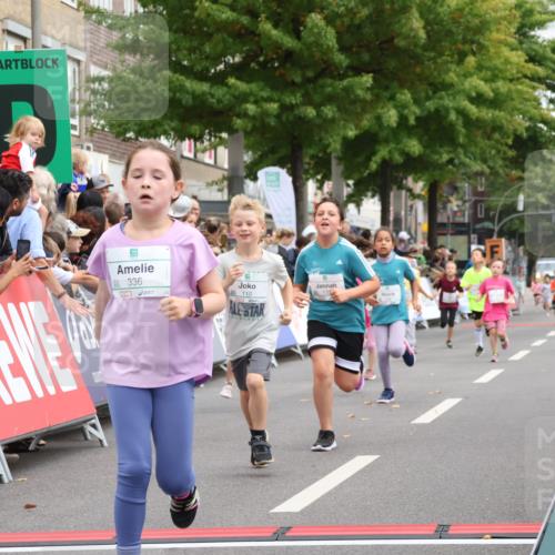 21.09.2025 - PSD Bank Halbmarathon Strokosch-Dieckow http://msf.ph/oto/8939309 21.09.2025 10:32:11 Ziel 110, 135, 137, 208, 259, 260, 309, 336 meine-sportfotos.de