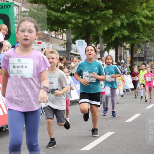 21.09.2025 - PSD Bank Halbmarathon Strokosch-Dieckow http://msf.ph/oto/8939310 21.09.2025 10:32:12 Ziel 110, 135, 137, 259, 260, 309, 336 meine-sportfotos.de