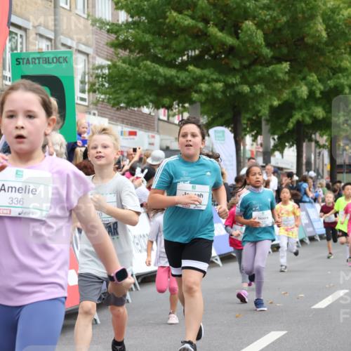 21.09.2025 - PSD Bank Halbmarathon Strokosch-Dieckow http://msf.ph/oto/8939311 21.09.2025 10:32:12 Ziel 110, 135, 137, 259, 260, 309, 336 meine-sportfotos.de