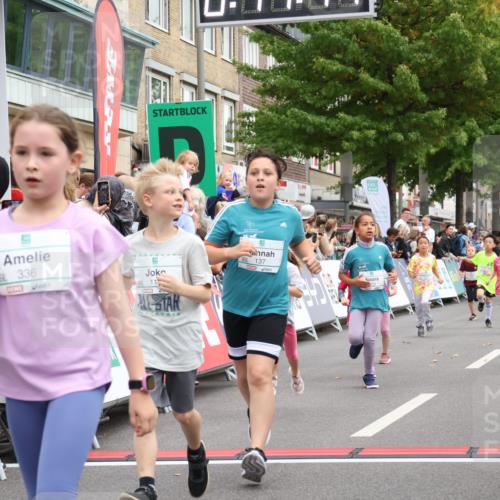 21.09.2025 - PSD Bank Halbmarathon Strokosch-Dieckow http://msf.ph/oto/8939312 21.09.2025 10:32:13 Ziel 110, 135, 137, 259, 260, 309, 336, 369, 427 meine-sportfotos.de
