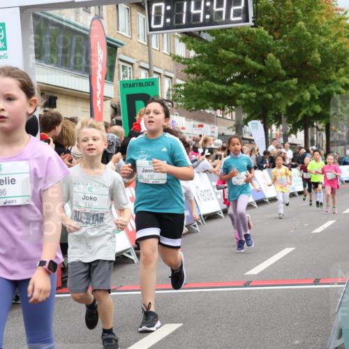 21.09.2025 - PSD Bank Halbmarathon Strokosch-Dieckow http://msf.ph/oto/8939313 21.09.2025 10:32:13 Ziel 110, 135, 137, 259, 260, 309, 336, 369, 427 meine-sportfotos.de