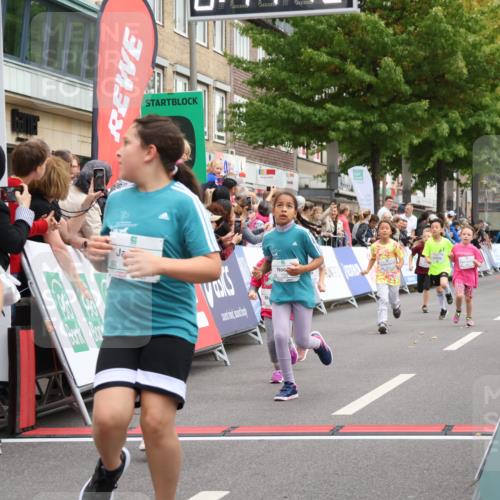 21.09.2025 - PSD Bank Halbmarathon Strokosch-Dieckow http://msf.ph/oto/8939314 21.09.2025 10:32:14 Ziel 110, 135, 137, 259, 260, 309, 322, 336, 369, 427 meine-sportfotos.de