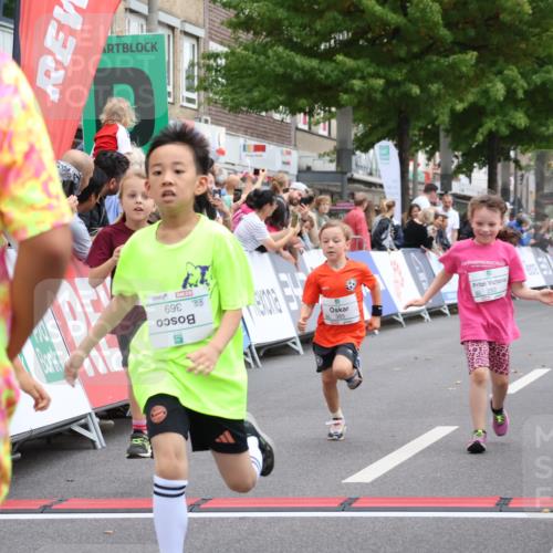 21.09.2025 - PSD Bank Halbmarathon Strokosch-Dieckow http://msf.ph/oto/8939317 21.09.2025 10:32:19 Ziel 110, 135, 137, 259, 260, 293, 309, 322, 369, 385, 427 meine-sportfotos.de