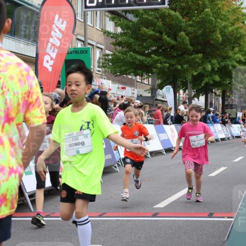 21.09.2025 - PSD Bank Halbmarathon Strokosch-Dieckow http://msf.ph/oto/8939318 21.09.2025 10:32:19 Ziel 110, 135, 137, 259, 260, 293, 309, 322, 369, 385, 427 meine-sportfotos.de