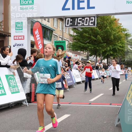 21.09.2025 - PSD Bank Halbmarathon Strokosch-Dieckow http://msf.ph/oto/8939324 21.09.2025 10:32:34 Ziel 133, 159, 173, 238, 282, 368 meine-sportfotos.de