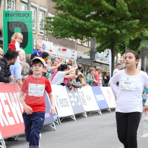 21.09.2025 - PSD Bank Halbmarathon Strokosch-Dieckow http://msf.ph/oto/8939326 21.09.2025 10:32:35 Ziel 133, 159, 173, 238, 273, 282 meine-sportfotos.de