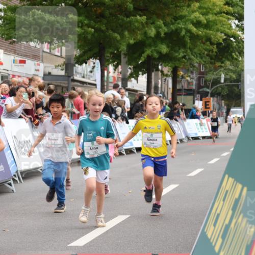 21.09.2025 - PSD Bank Halbmarathon Strokosch-Dieckow http://msf.ph/oto/8939335 21.09.2025 10:32:39 Ziel 130, 133, 159, 173, 273, 282, 312, 364, 372, 429 meine-sportfotos.de