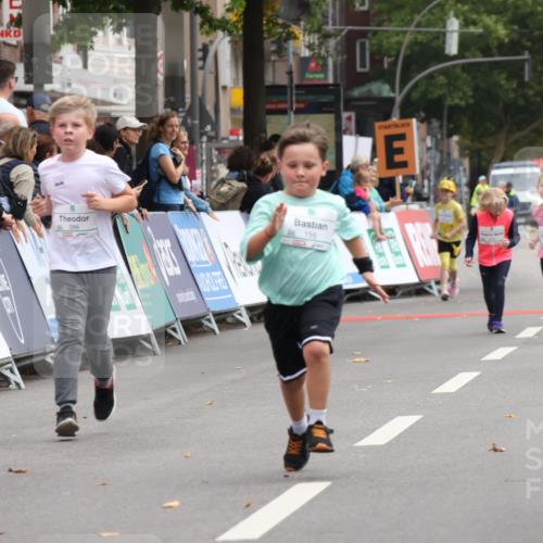 21.09.2025 - PSD Bank Halbmarathon Strokosch-Dieckow http://msf.ph/oto/8939355 21.09.2025 10:33:05 Ziel 156, 291 meine-sportfotos.de