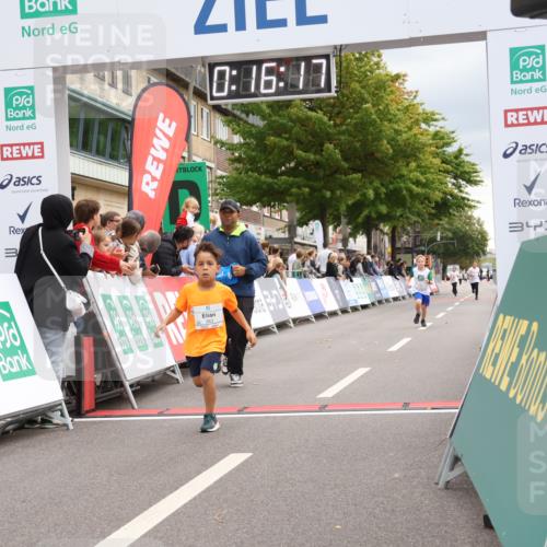 21.09.2025 - PSD Bank Halbmarathon Strokosch-Dieckow http://msf.ph/oto/8939387 21.09.2025 10:33:48 Ziel 308, 363 meine-sportfotos.de