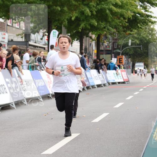 21.09.2025 - PSD Bank Halbmarathon Strokosch-Dieckow http://msf.ph/oto/8939397 21.09.2025 10:33:58 Ziel 185, 186, 308 meine-sportfotos.de