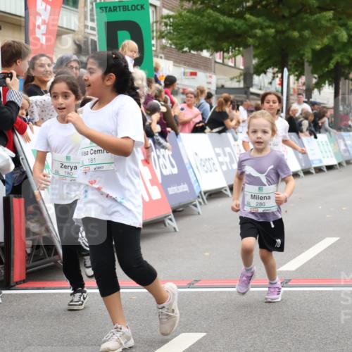 21.09.2025 - PSD Bank Halbmarathon Strokosch-Dieckow http://msf.ph/oto/8939410 21.09.2025 10:34:32 Ziel 180, 181, 188, 280 meine-sportfotos.de