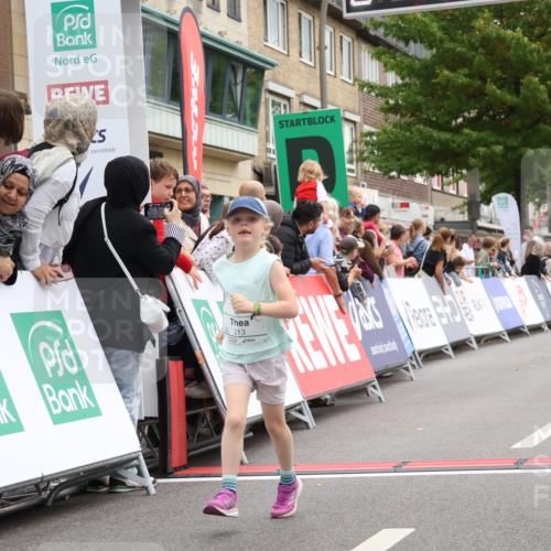 21.09.2025 - PSD Bank Halbmarathon Strokosch-Dieckow http://msf.ph/oto/8939417 21.09.2025 10:34:43 Ziel 313 meine-sportfotos.de