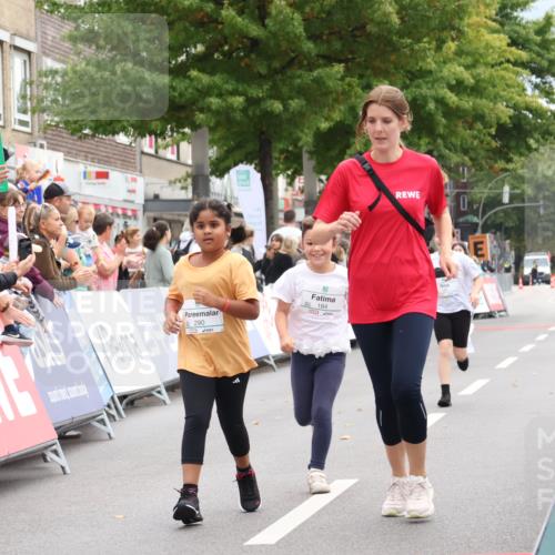 21.09.2025 - PSD Bank Halbmarathon Strokosch-Dieckow http://msf.ph/oto/8939452 21.09.2025 10:36:08 Ziel 184, 187, 284, 290 meine-sportfotos.de