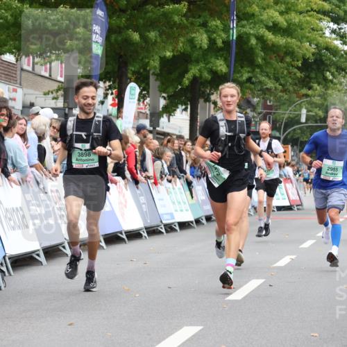 21.09.2025 - PSD Bank Halbmarathon Strokosch-Dieckow http://msf.ph/oto/8940026 21.09.2025 11:29:28 Ziel 1437, 1472, 1525, 1854, 2955, 3898 meine-sportfotos.de