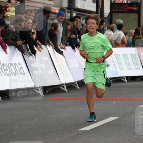 21.09.2025 - PSD Bank Halbmarathon Strokosch-Dieckow http://msf.ph/oto/8940390 21.09.2025 10:25:30 Ziel 206, 268 meine-sportfotos.de